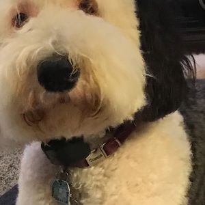 Meet your Posher, Deborah